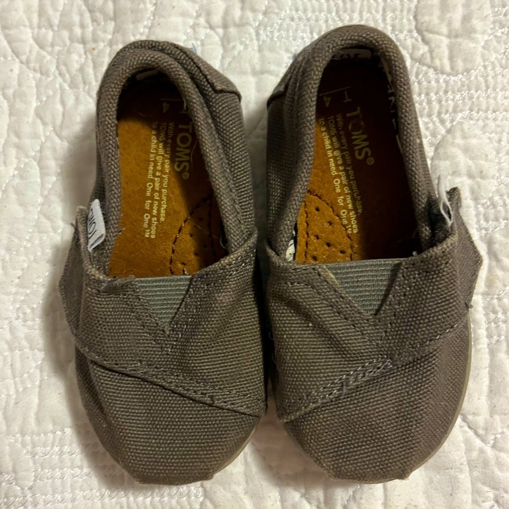 Tom’s infant canvas shoe